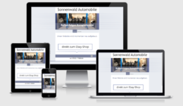 Sonnenwald-Automobile-homepage